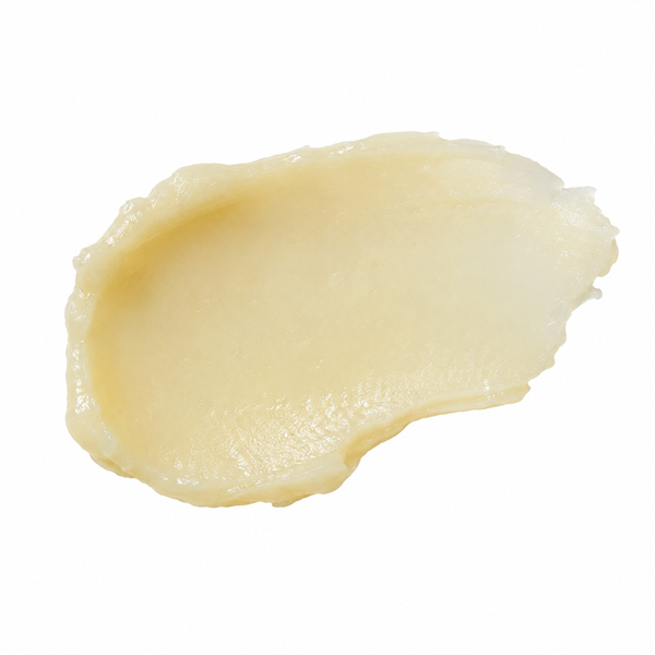 Tallow & Honey Body Butter – Citrus